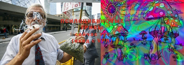 не бодяженный Коряжма
