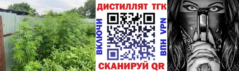 Дистиллят ТГК концентрат  Купить  Пошехонье 
