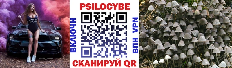 Галлюциногенные грибы MAGIC MUSHROOMS  Купить где  Пошехонье 